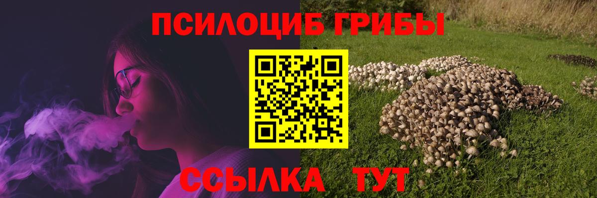 Галлюциногенные грибы ЛСД  Галлюциногенные грибы прущие грибы  Ишим  Вход с VPN 